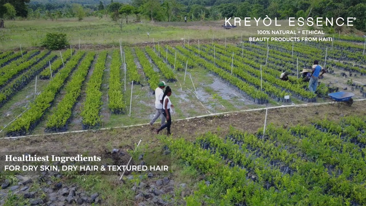 Kreyol Essence, The New Beauty Craze | 100% Natural + Ethical Products From Haiti